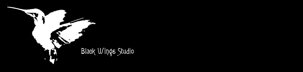 Black Wings Studio